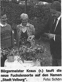 PresseVelburg.jpg